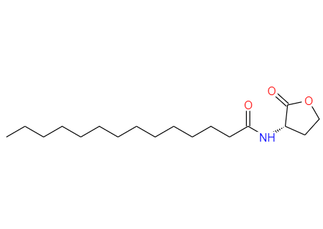  CAS：202284-87-5,中文名稱：十四烷基-L-高絲氨酸內(nèi)酯 英文名稱：N-tetradecanoyl-L-Homoserine lactone