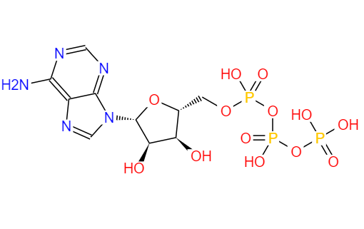CAS： 56-65-5，中文名稱： 三磷酸腺苷 英文名稱：Adenosine triphosphate 
