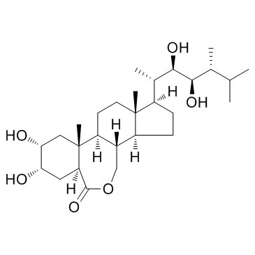 CAS： 78821-43-9，中文名稱： 24-表油菜素內(nèi)酯 英文名稱：24-Epicastasterone 