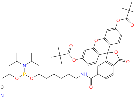 CAS： 204697-37-0，中文名稱： 5'-熒光素氨基磷酸酯 (6-FAM) 英文名稱：5'(6)-FAM; 5'-Fluorescein Phosphoramidite 