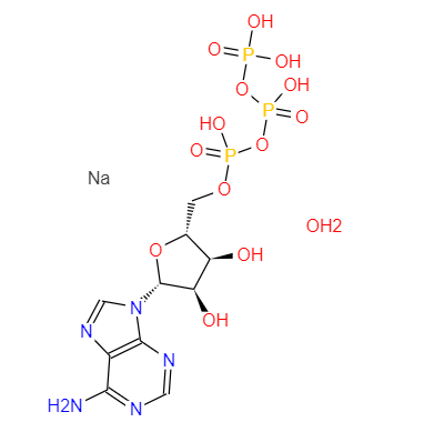 CAS： 34369-07-8，中文名稱： 腺苷-5′-三磷酸二鈉鹽，（無鈣） 英文名稱：5'-ATP-Na2 