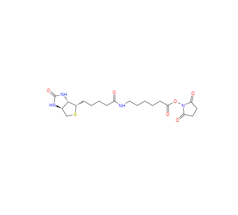  CAS： 72040-63-2，中文名稱： 生物素化-epsilon-氨基己酸-N-羥基丁二酰亞胺活化酯 英文名稱：Succinimidyl 6-(biotinamido)hexanoate