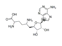 CAS：58944-73-3，西奈芬凈 