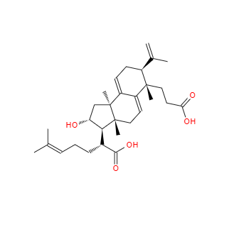 CAS：137551-39-4，茯苓酸B