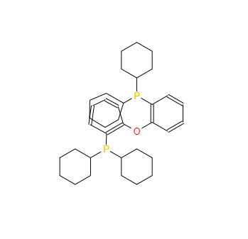 CAS：434336-16-0，雙(二環(huán)己基膦基苯基)醚