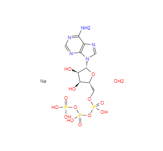 CAS：34369-07-8，腺苷-5'-三磷酸二鈉鹽,水合物 