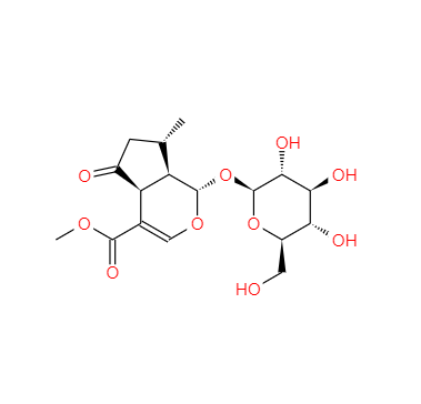 CAS：548-37-8，馬鞭草苷 