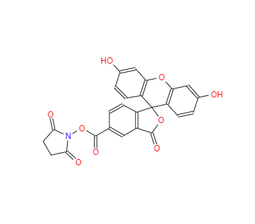 CAS：92557-80-7，5-羧基熒光素琥珀酰亞胺酯 