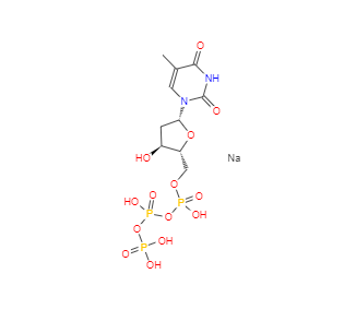 CAS：27821-54-1，胸苷-5'-三磷酸三鈉鹽 