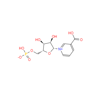 CAS：321-02-8，煙酸單核苷酸 